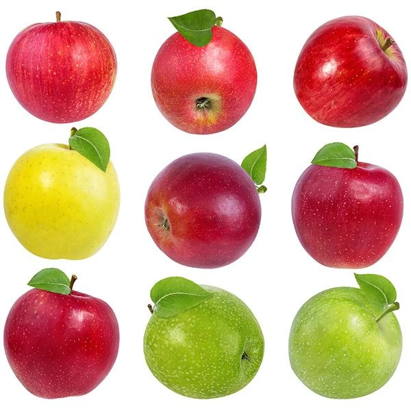 4-in-1 Apple Surprise Tree 1 4-in-1 Apple Surprise Tree