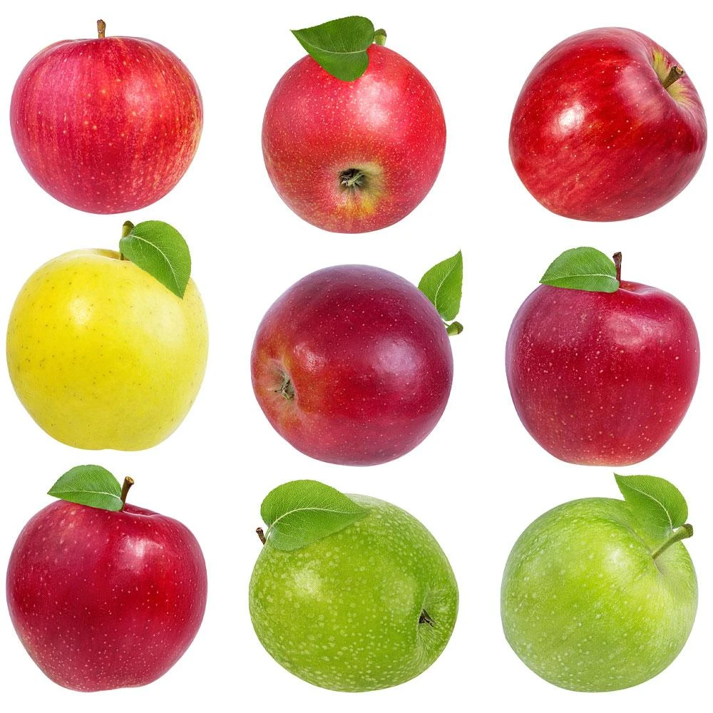 3-in-1 Apple Surprise Tree 2 3-in-1 Apple Surprise Tree - Image 2