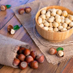 Theta Filbert Hazelnut 7 Theta Filbert Hazelnut -Green Yard Plant Store THeta FIlbert Hazelnut 4