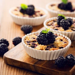 Thornless Blackberry -Green Yard Plant Store Thornless Blackberry 2