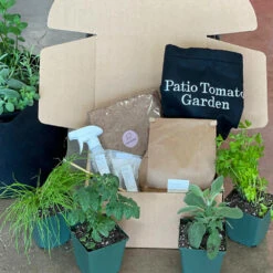 Patio Tomato Garden -Green Yard Plant Store Tomato Garden kit 2