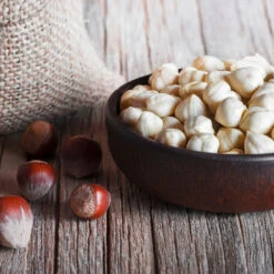 York Filbert Hazelnut 10 York Filbert Hazelnut -Green Yard Plant Store York Hazelnut 5